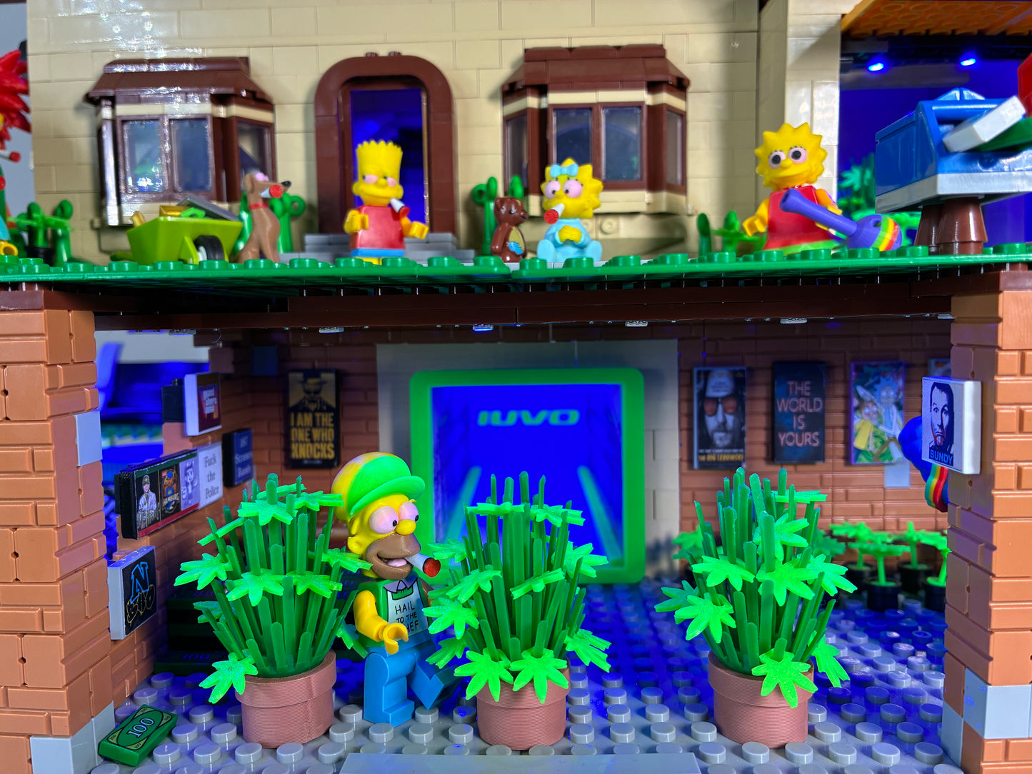 The Simpsons - Illegal Grow Operation BrickSet